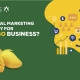 Digital Marketing for Mango Business